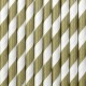 Pailles blanches avec rayures dorées en papier par lot de 10 - Décoration de Fête Godsavetheking