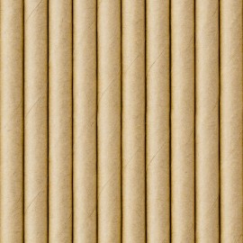 Pailles en papier kraft - lot de 10