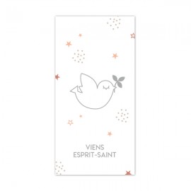 Signet religieux Viens Esprit-Saint gris avec ses étoiles roses