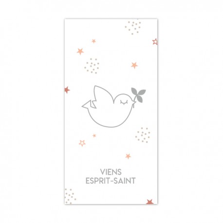 Signet religieux Viens Esprit-Saint gris avec ses étoiles roses - Signets religieux papeterie religieuse Godsavetheking